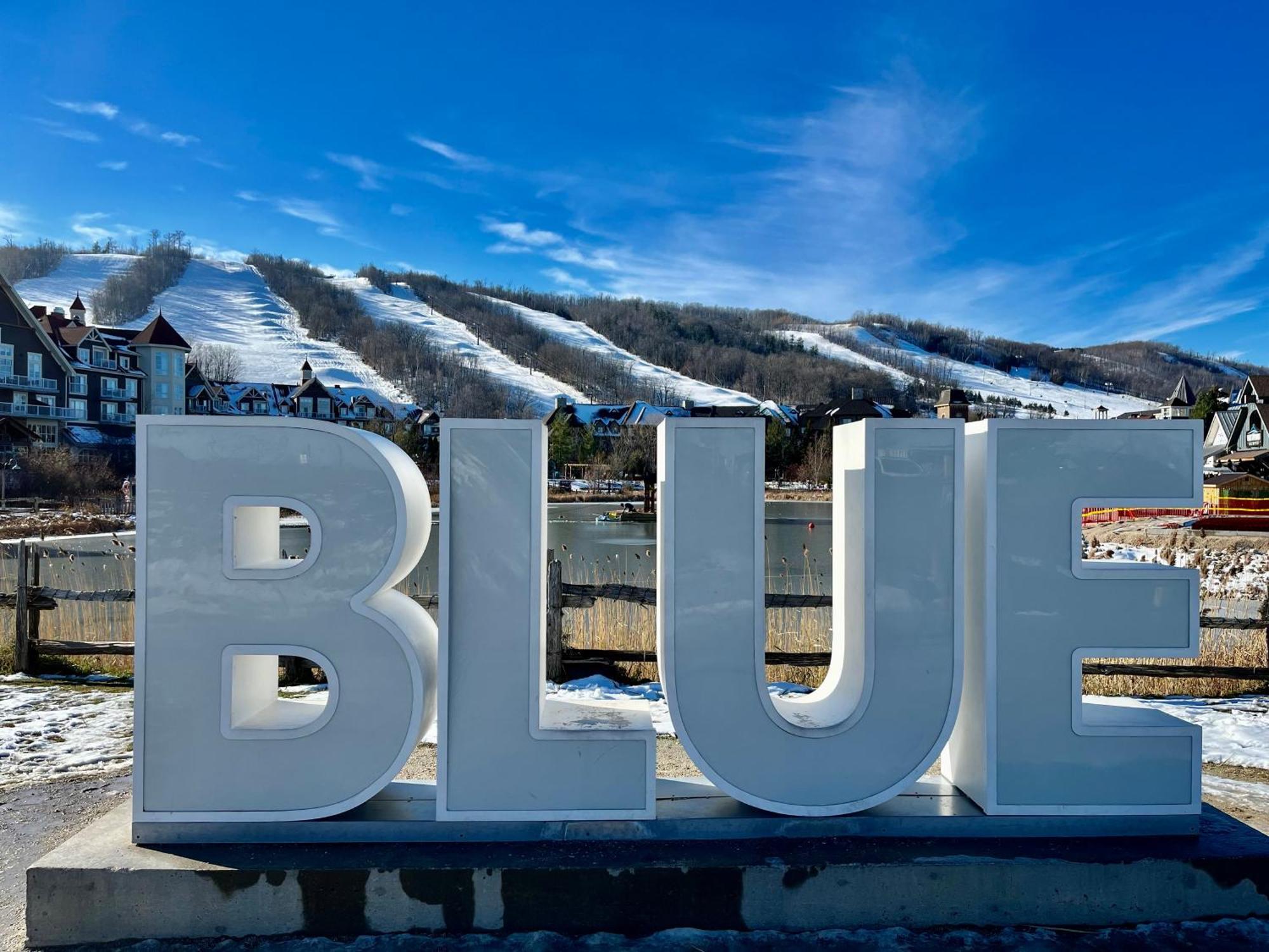 Blue Mountain Studio Oasis Blue Mountains Bagian luar foto