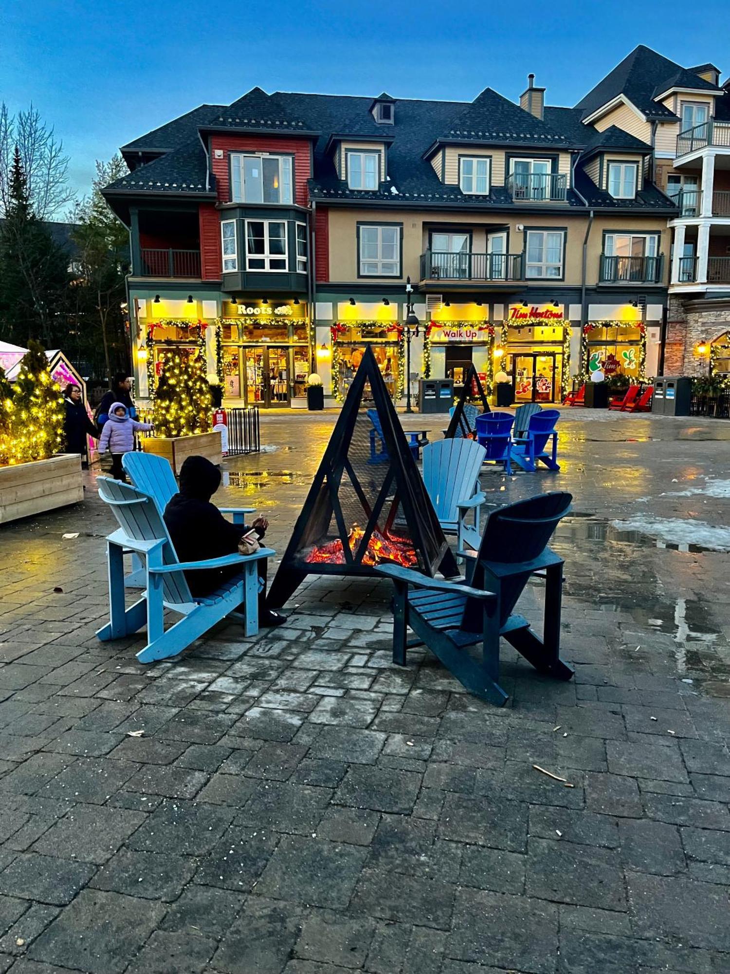 Blue Mountain Studio Oasis Blue Mountains Bagian luar foto